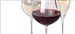 The Everyday Guide to Wine