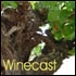 Winecast Podcast