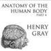 Anatomy of the Human Body, Part 4