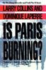 Is Paris Burning?