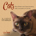 Cats: Their Points and Characteristics