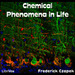 Chemical Phenomena in Life