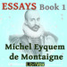 Essays: Book 1