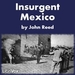 Insurgent Mexico