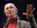 Jane Goodall on What Separates Us From the Apes