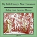 My Bible History: New Testament