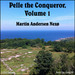 Pelle the Conqueror, Volume 1