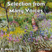 Selection From Many Voices