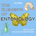 The Elements of Entomology