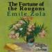 The Fortune of the Rougons