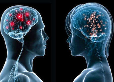 male-vs-female-brain.jpg