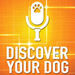 Discover Your Dog Podcast