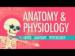 Anatomy & Physiology Crash Course