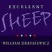 Excellent Sheep