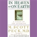 In Heaven as On Earth: A Vision of the Afterlife