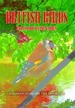 British Birds: Urban Birds in the Garden