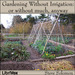 Gardening Without Irrigation