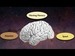 UCTV: Human Brain