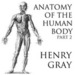 Anatomy of the Human Body, Part 2