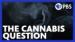 The Cannabis Question